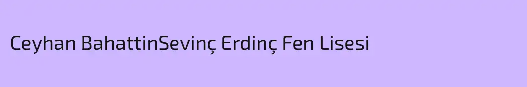 Ceyhan BahattinSevinç Erdinç Fen Lisesi